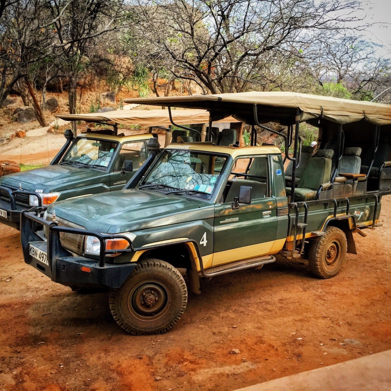 Safari Jeeps in Meru National Park